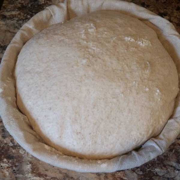 Ancient 100% Organic Einkorn Wheat Sourdough Bread Starter, Probiotic Culture Wild Yeast Dehydrated