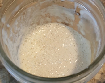 San Francisco zuurdesem tarwebrood starter probiotische cultuur gedehydrateerd