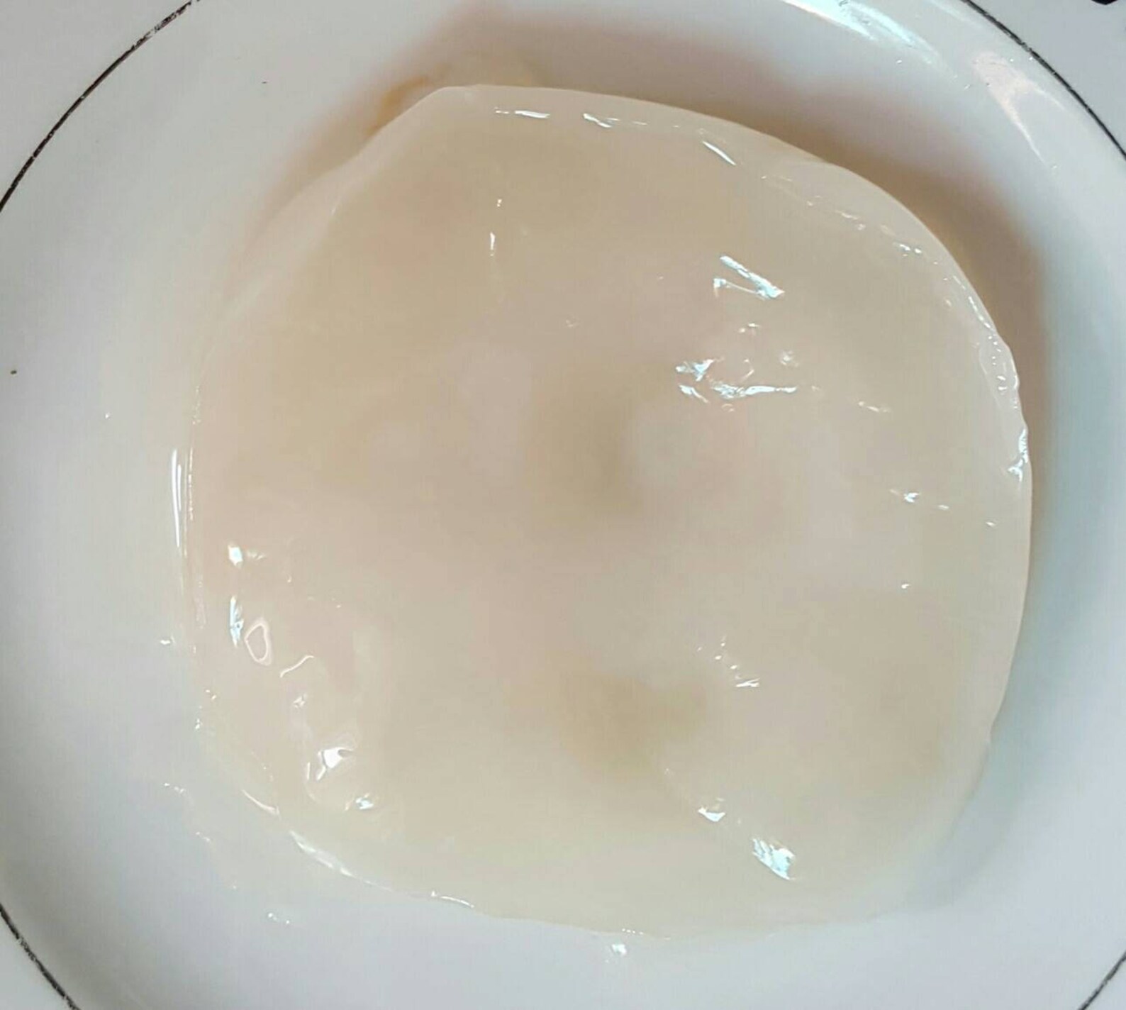 White Wine Vinegar Mother Scoby Starter Make Your Own Sweet Etsy