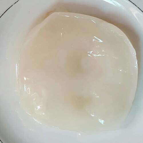 Red Wine Vinegar Mother Scoby Starter Make Your Own Sweet Etsy