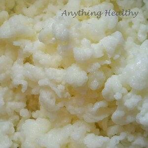 FREE SHIPPING! Fresh Milk Kefir Grains Bulgaros, Fast Growing!