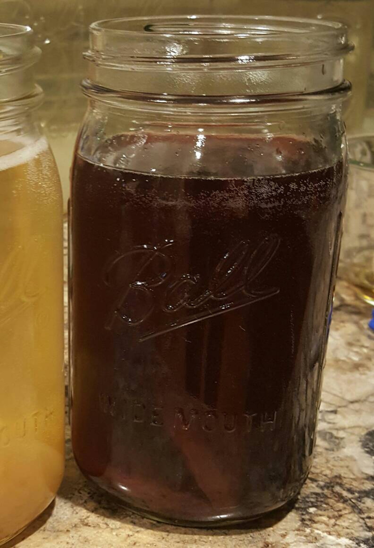 Red Wine Vinegar Mother Scoby Starter Make Your Own Sweet Etsy