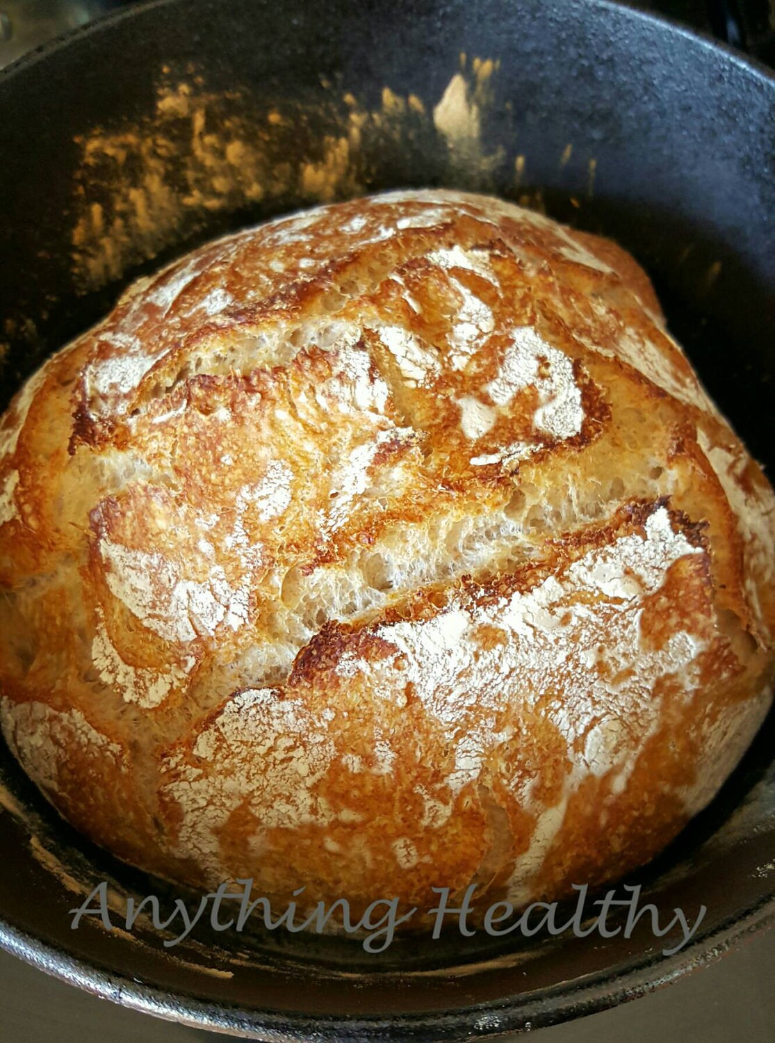 Wild Sourdough Wheat Bread Starter Active Probiotic Culture Etsy