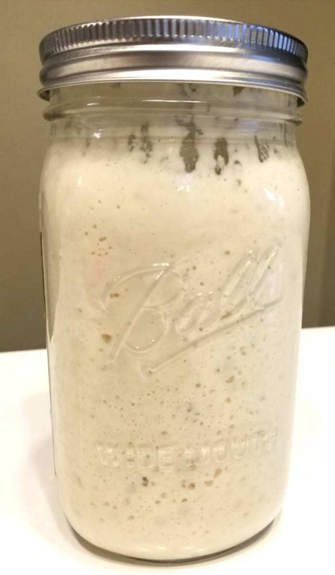 San Francisco Sourdough Wheat Bread Starter Probiotic Culture