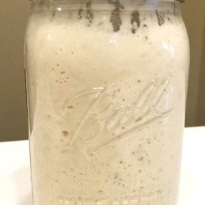 San Francisco Sourdough Wheat Bread Starter Probiotic Culture Dehydrated