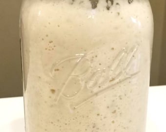 San Francisco zuurdesem tarwebrood starter probiotische cultuur gedehydrateerd