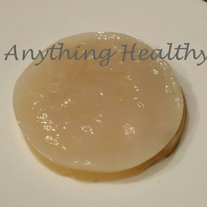1/2 Gallon Authentic Honey JUN SCOBY w/Starter Fermenting Instructions Champagne of Kombucha Probiotic Tea Culture Brew Kit