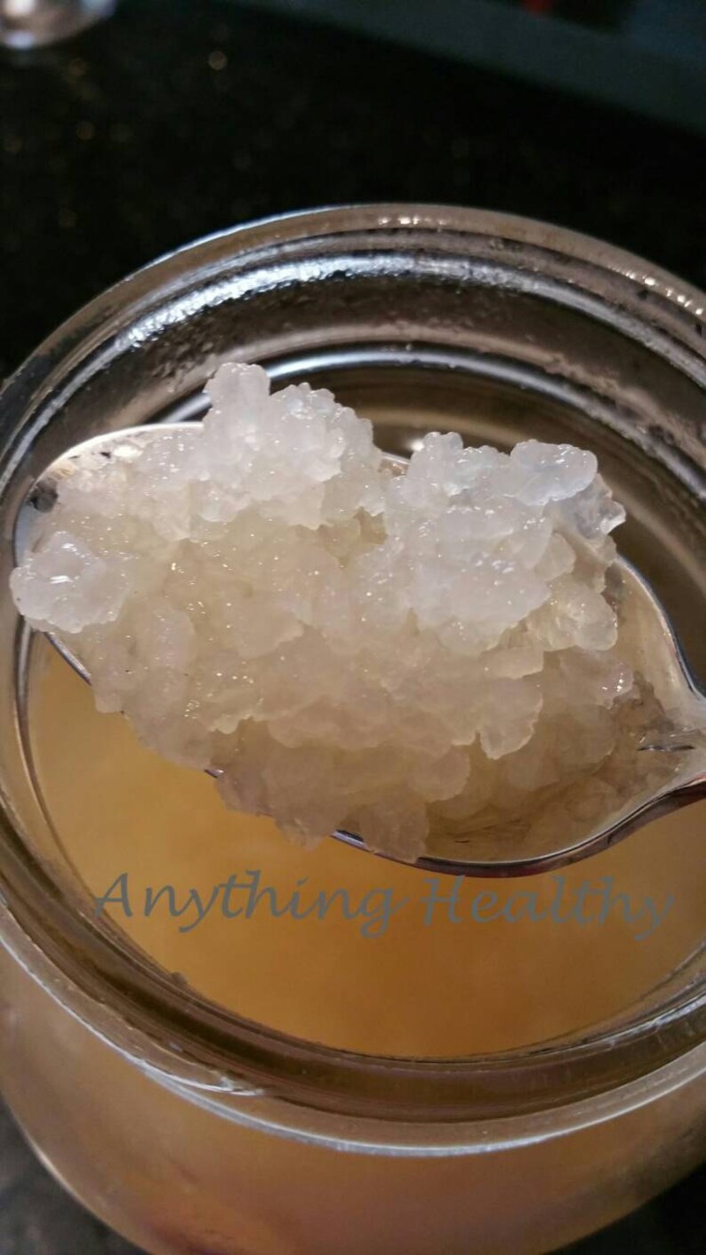 1 tsp Dehydrated Water Kefir Grains Dried Tibicos Probiotic Etsy