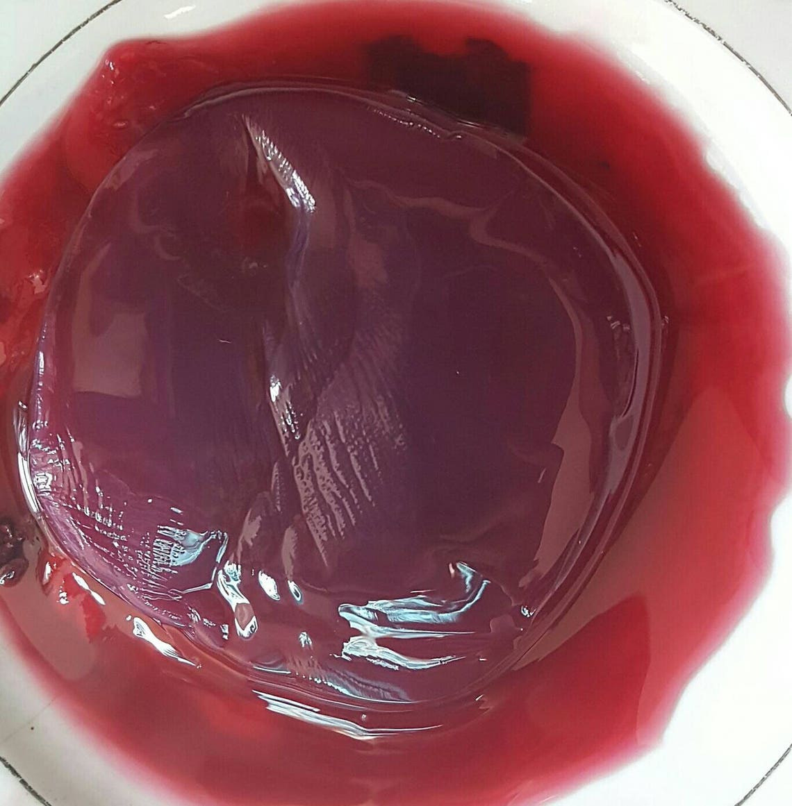 Red Wine Vinegar Mother Scoby Starter Make Your Own Sweet Etsy