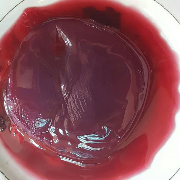 Red Wine Vinegar Mother Scoby starter, make your own, sweet wine sangria moscato brew diy homemade