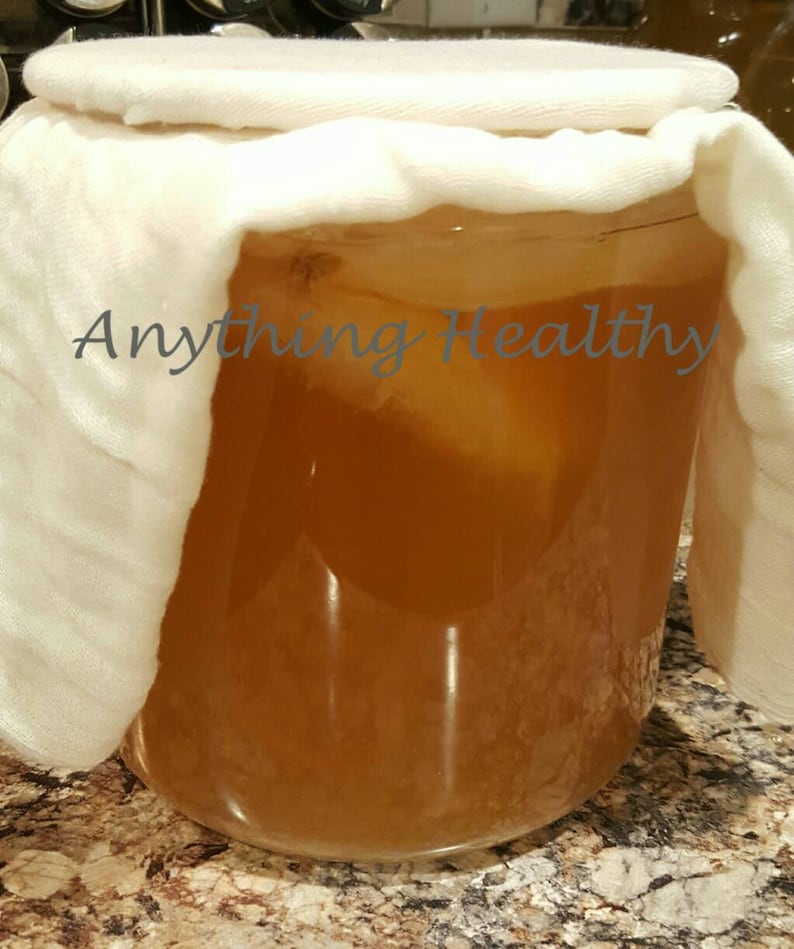 Apple Cider Mother of Vinegar Scoby ACV Starter Homemade Etsy