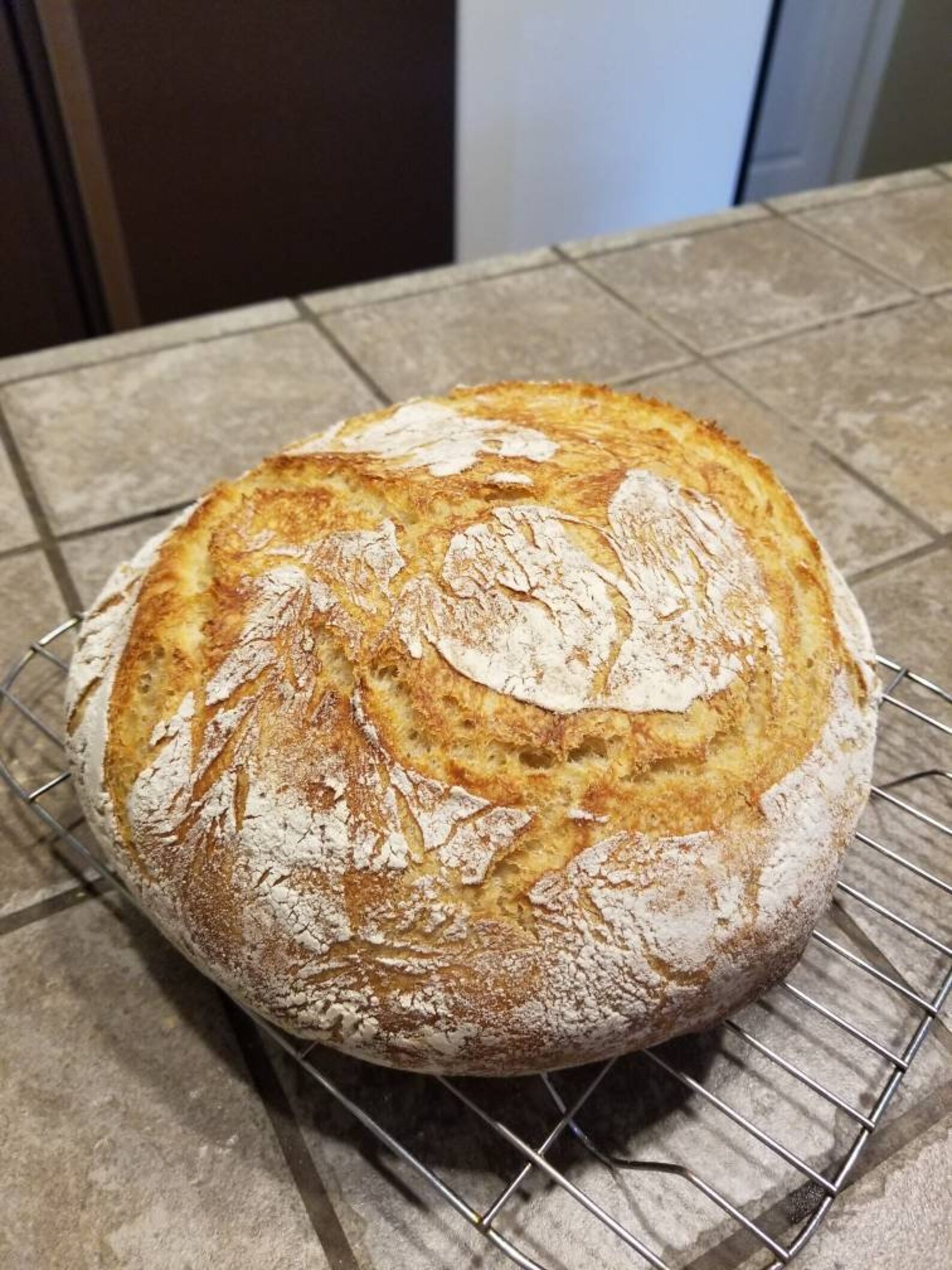 Organic Wild Sourdough Wheat Bread Starter Probiotic Culture Etsy