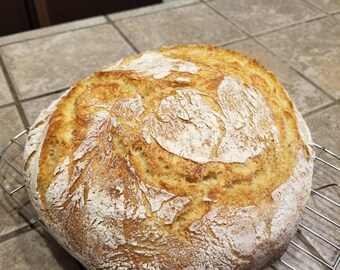 Wilde zuurdesem tarwebrood starter probiotische cultuur gist terwijl meel niet verrijkt, ongebleekt, gedehydrateerd