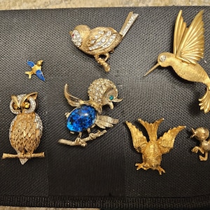 Panetta Brooch - Etsy