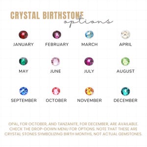 Puede incluir: Un gr&aacute;fico que muestra las piedras de nacimiento de cristal para cada mes del a&ntilde;o. El gr&aacute;fico presenta un peque&ntilde;o cristal para cada mes, con el nombre del mes escrito debajo de cada cristal. El texto en la parte inferior del gr&aacute;fico dice "&Oacute;palo, para octubre, y tanzanita, para diciembre, est&aacute;n disponibles. Consulte el men&uacute; desplegable para las opciones. Tenga en cuenta que estas son piedras de cristal que simbolizan los meses de nacimiento, no gemas reales."