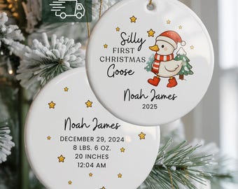 Baby's First Christmas Ornament Boy | Personalized My First Christmas Ornament | Baby 1st Christmas Keepsake | Silly Goose Ornament Gift