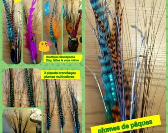 3 branches with multicolored feathers