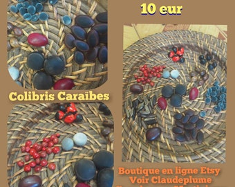 Assortiment 100 graines des Antilles