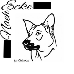 Image Result For Irish Visa Application