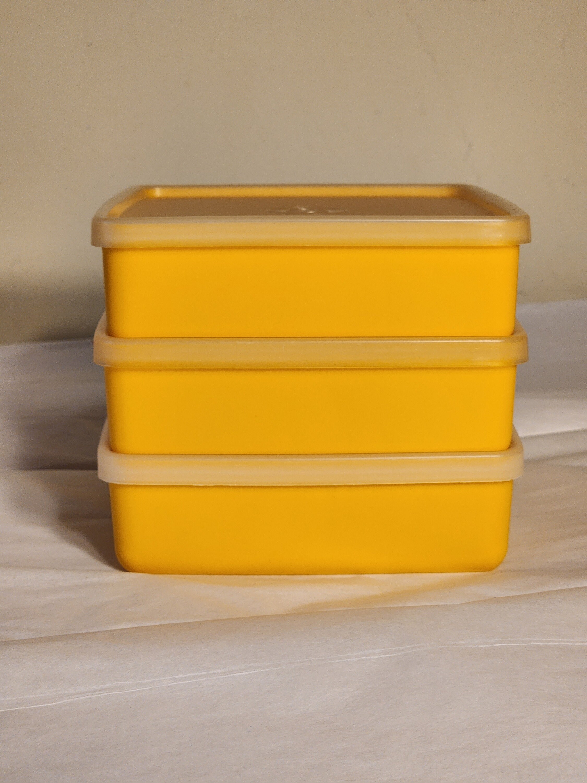Vintage Tupperware Sandwich Container Hinged Container Retro 