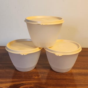 Three 1980&#39;s Tupperware Snack Bowls Sheer Tupperware Refrigerator Bowls #148