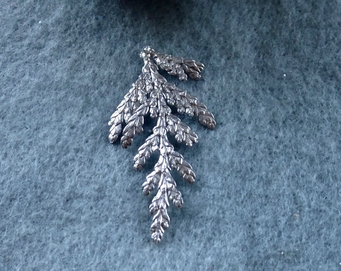 Silver Casting, Silver Cedar Casting, One and a Quarter Inches, Organic