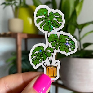 monstera plant sticker / potted plant sticker / cute plant stickers / houseplant stickers / monstera deliciosa sticker / plant mom stickers