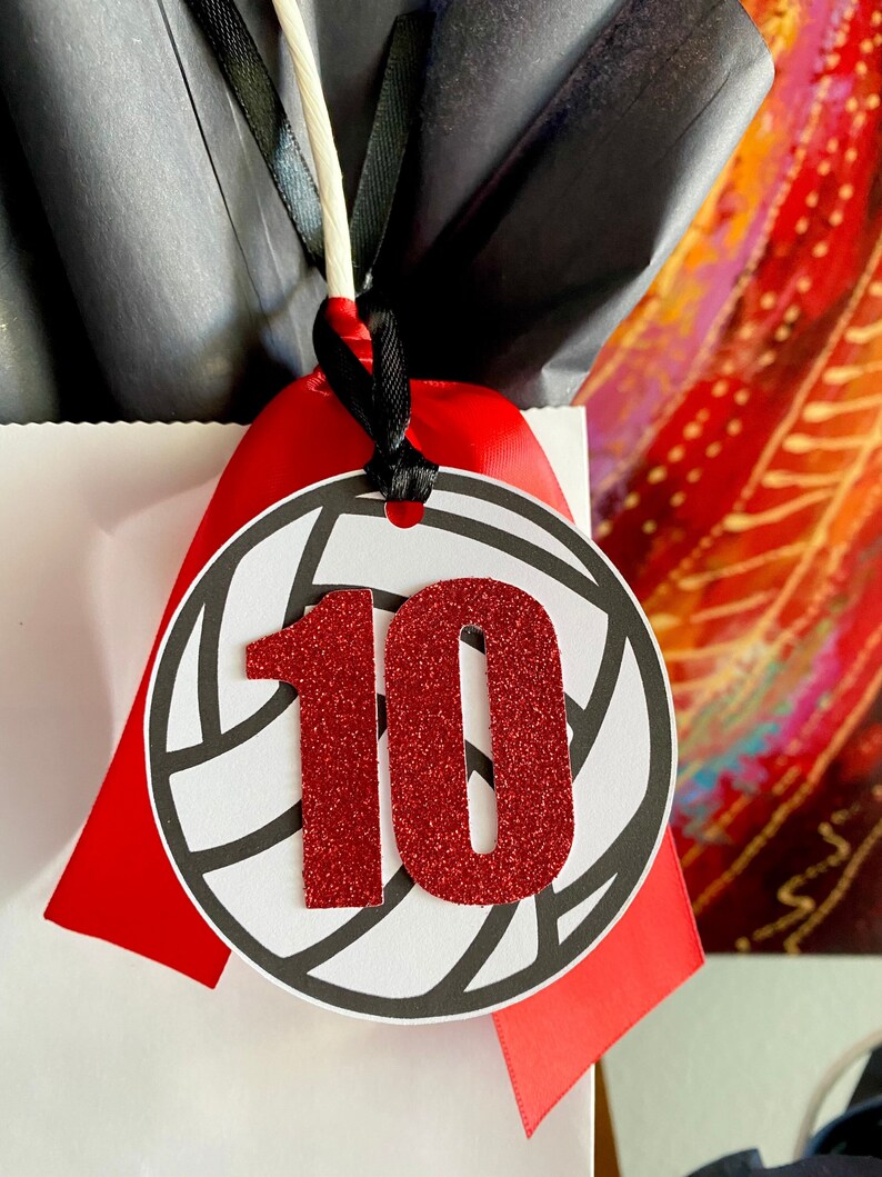 Volleyball Team Gift Tags / Sold Individually / 3 Inch / Etsy