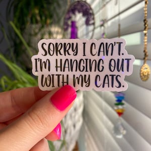sorry I cant im hanging out with my cats sticker / holographic vinyl / cat stickers / kitty stickers / pet stickers / cat mama sticker