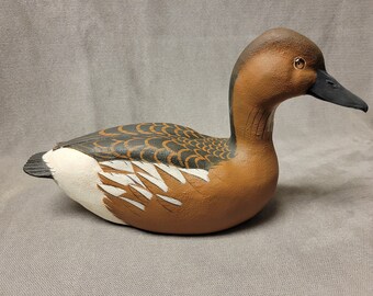 Fulvous Whistling duck