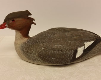 Hen Red-Breasted Merganser