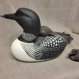 3/4 Size Loon with two or three  chicks, showing here with two chicks.