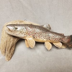 brown trout on driftwood