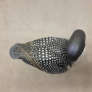 Preening Loon