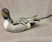 Pintail Urn decoy