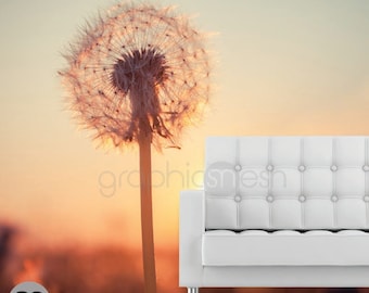 DANDELIONS AT SUNSET wall mural - Self adhesive removable & repositionable wallpaper - Interior decor by GraphicsMesh