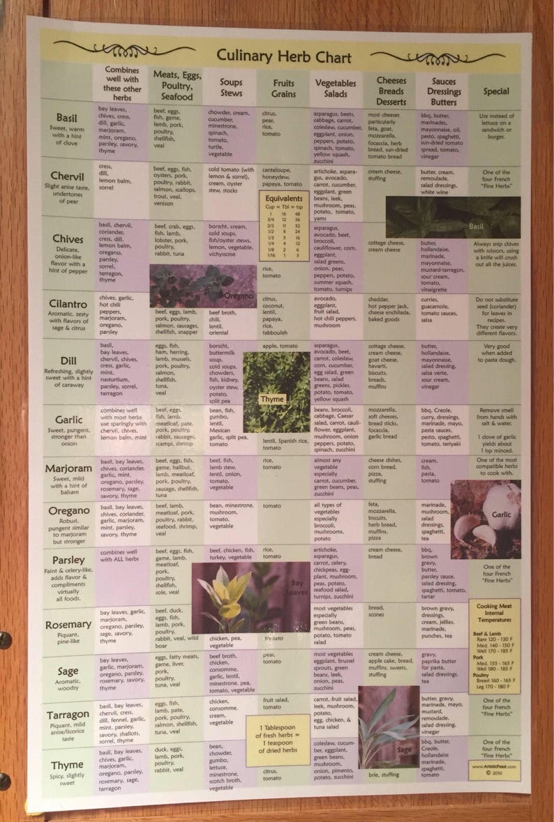 Culinary Herb Chart image 3