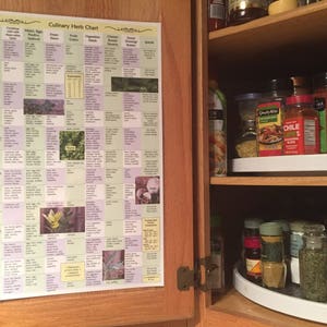 Culinary Herb Chart image 1