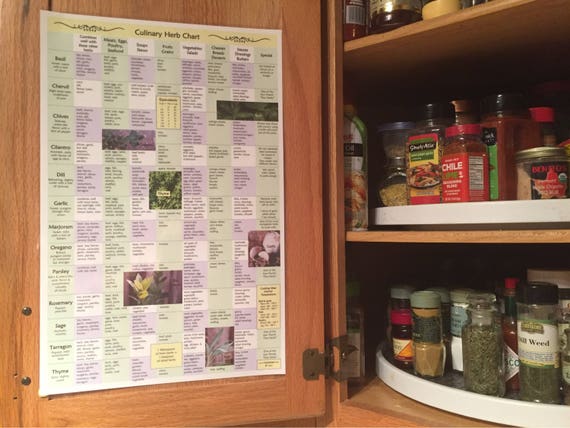 Culinary Herb Chart