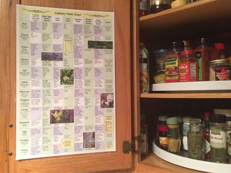 Culinary Herb Chart image 1