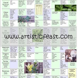 Culinary Herb Chart image 4