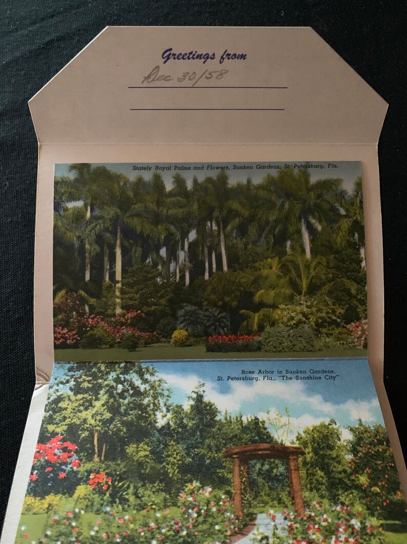 Sunken Gardens Florida St Petersburg