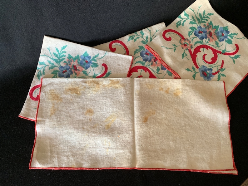 CottonLinen Painted Napkins