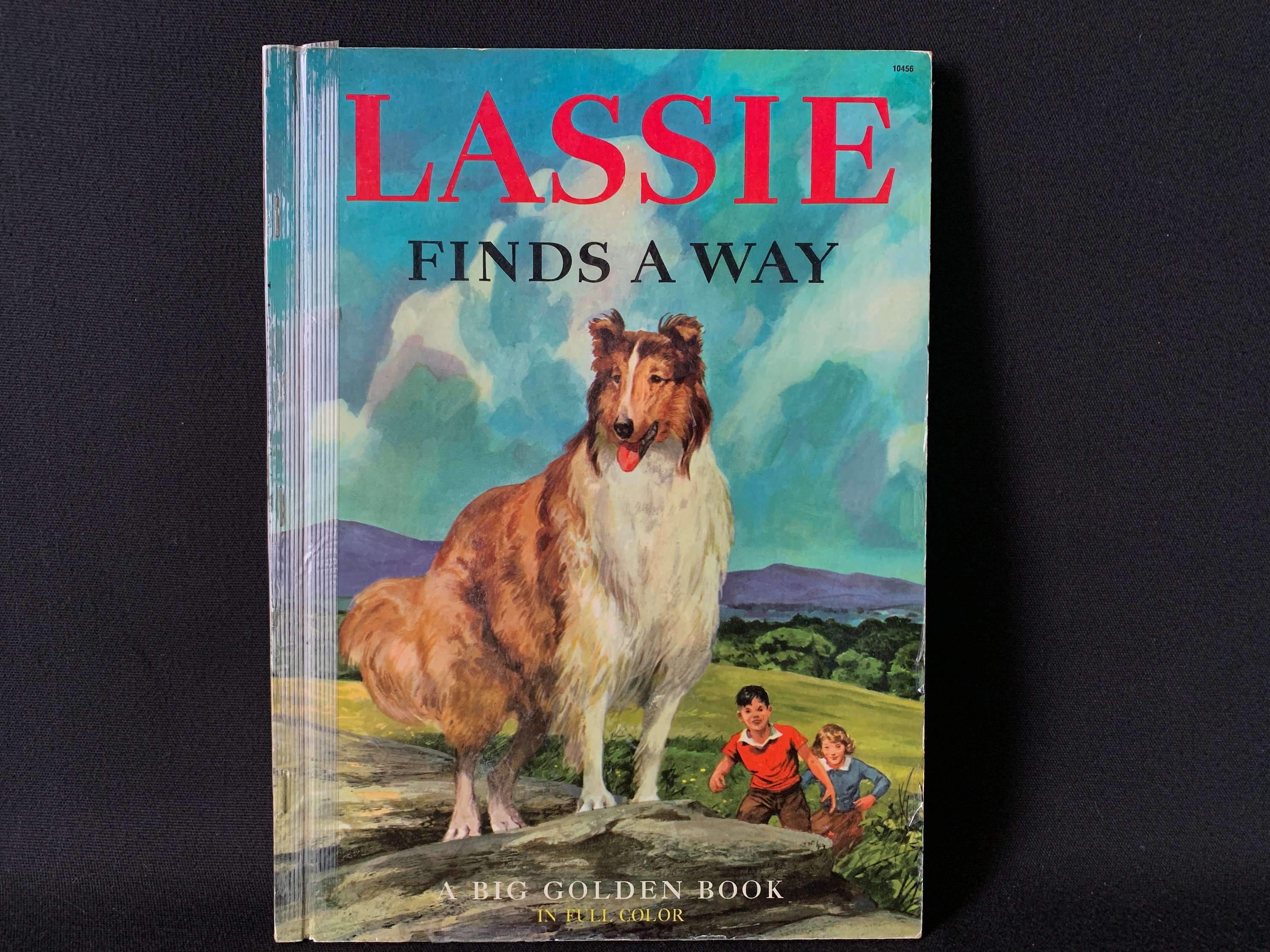 Lassie Pant – L O É I L