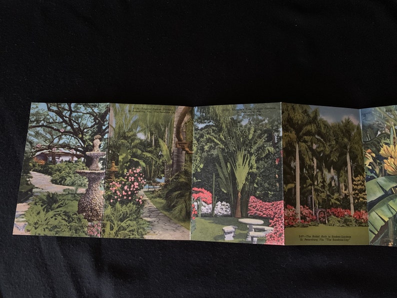 Sunken Gardens Florida St Petersburg