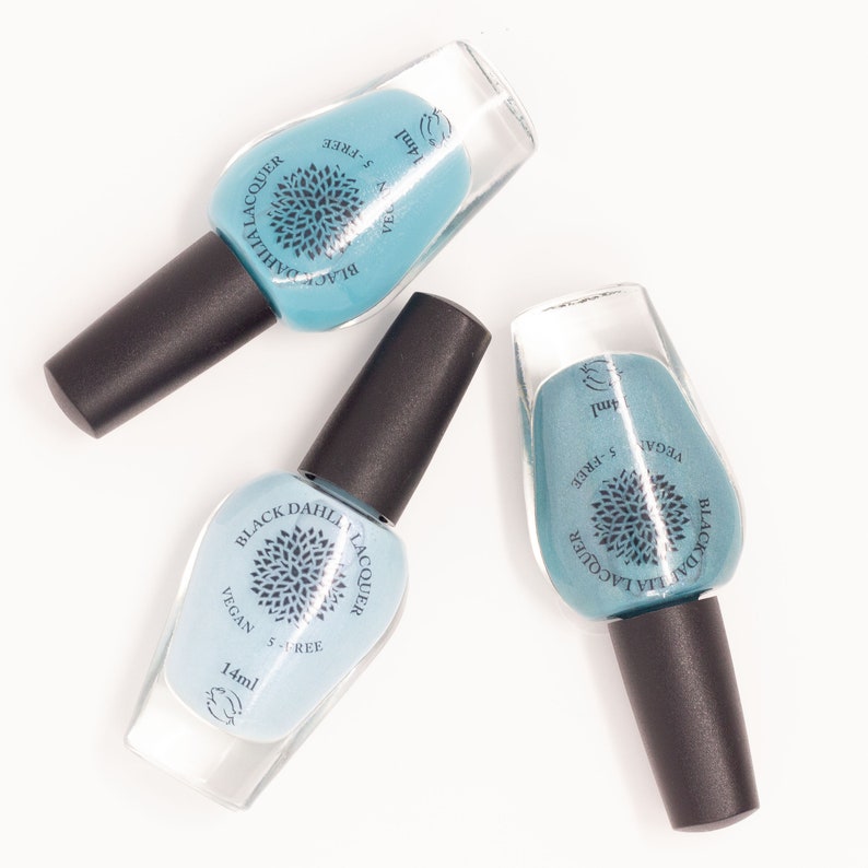 Nail Polish Mystery Grab Bag From Black Dahlia Lacquer Etsy