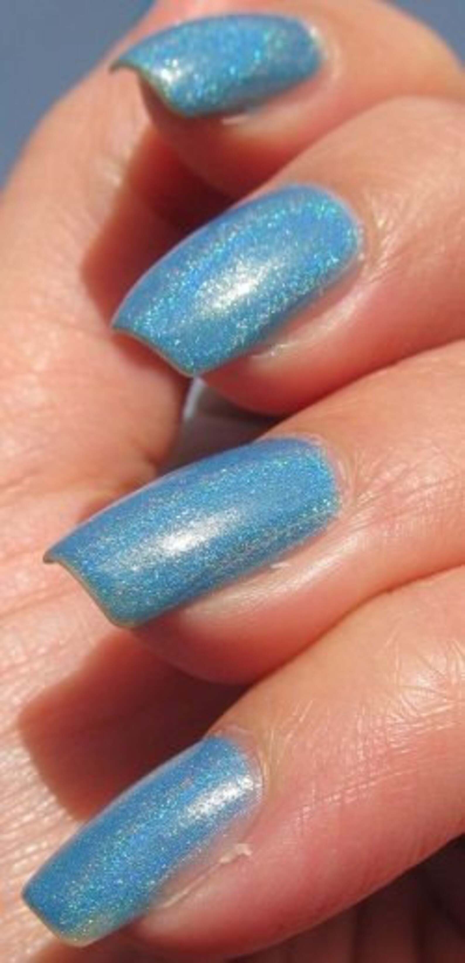 Cornflower Blue Holo Nail Polish by Black Dahlia Lacquer Etsy