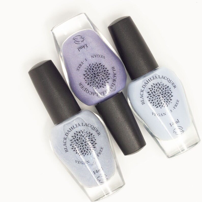 Nail Polish Mystery Grab Bag From Black Dahlia Lacquer Etsy