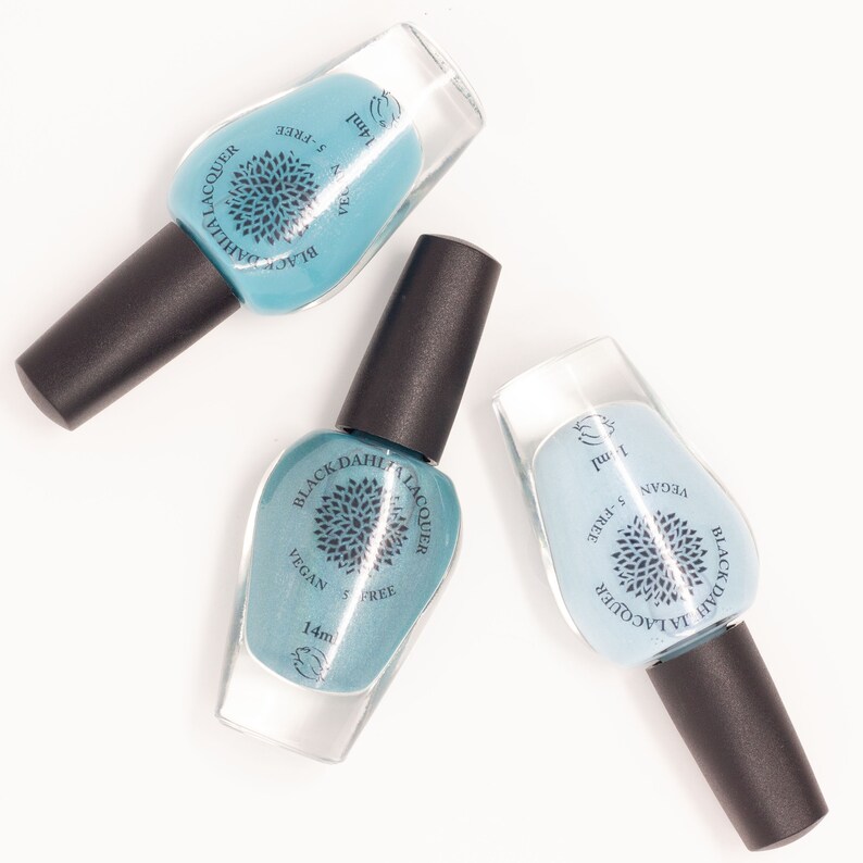 Nail Polish Mystery Grab Bag From Black Dahlia Lacquer Etsy