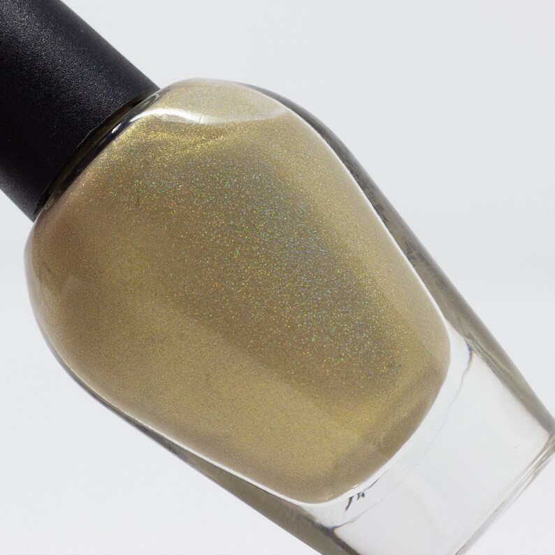 Nail Polish Mystery Grab Bag From Black Dahlia Lacquer Etsy